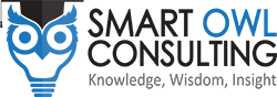 Smart Owl Consulting